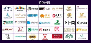 海洋公益天使大赛集训一触即发 一场魅力无穷的绿色盛宴